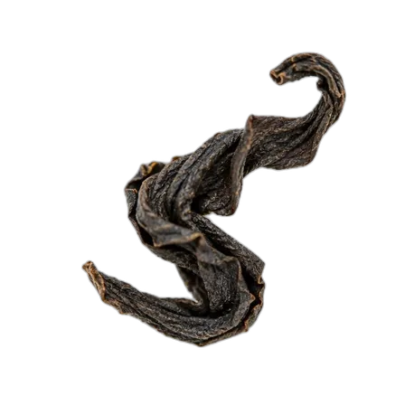 Loose tea leaf fragment