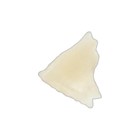 Candle wax chip (1 mg)