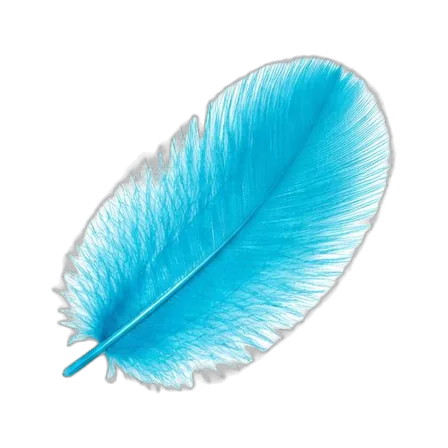 Feather fragment (0.1 mg)