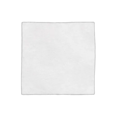 Parchment scrap (1 cmยฒ)